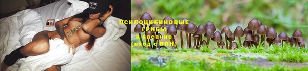 стафф Баксан